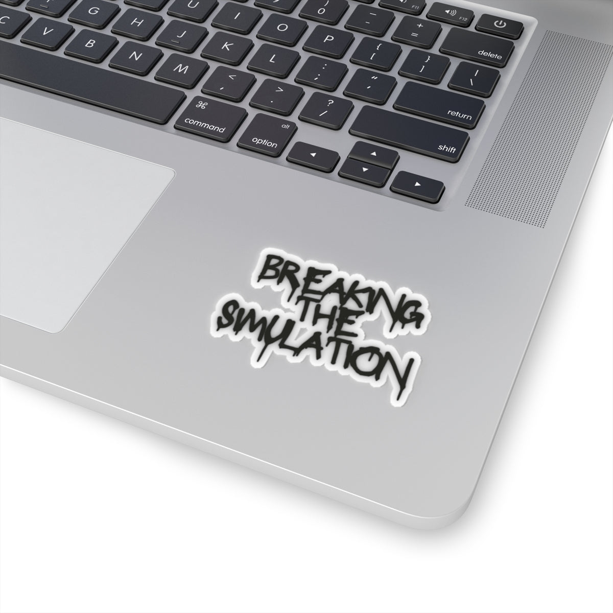 Breaking the Simulation  Sticker