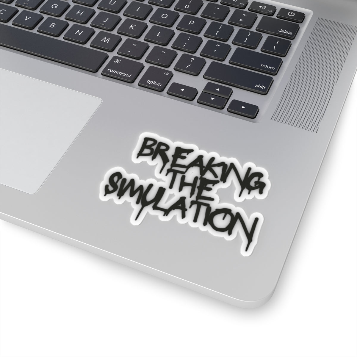 Breaking the Simulation  Sticker