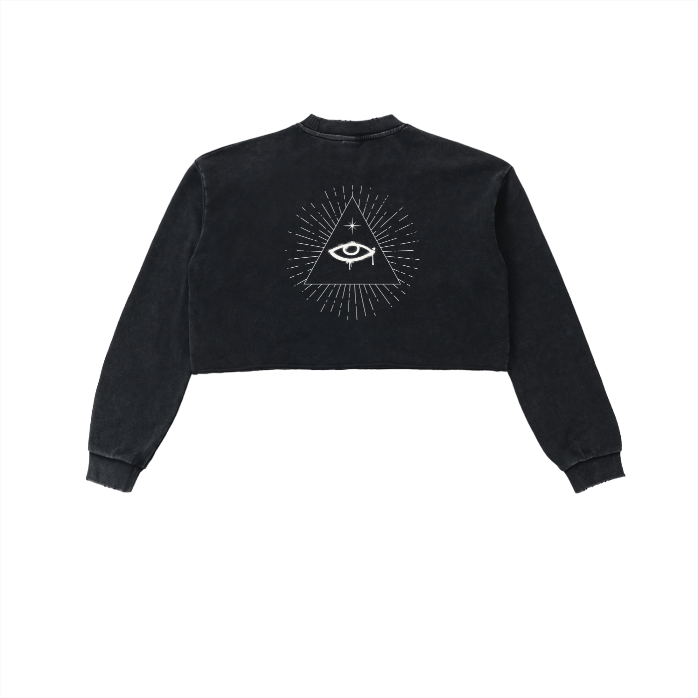Eye of Providence Cropped Sweatshirt
