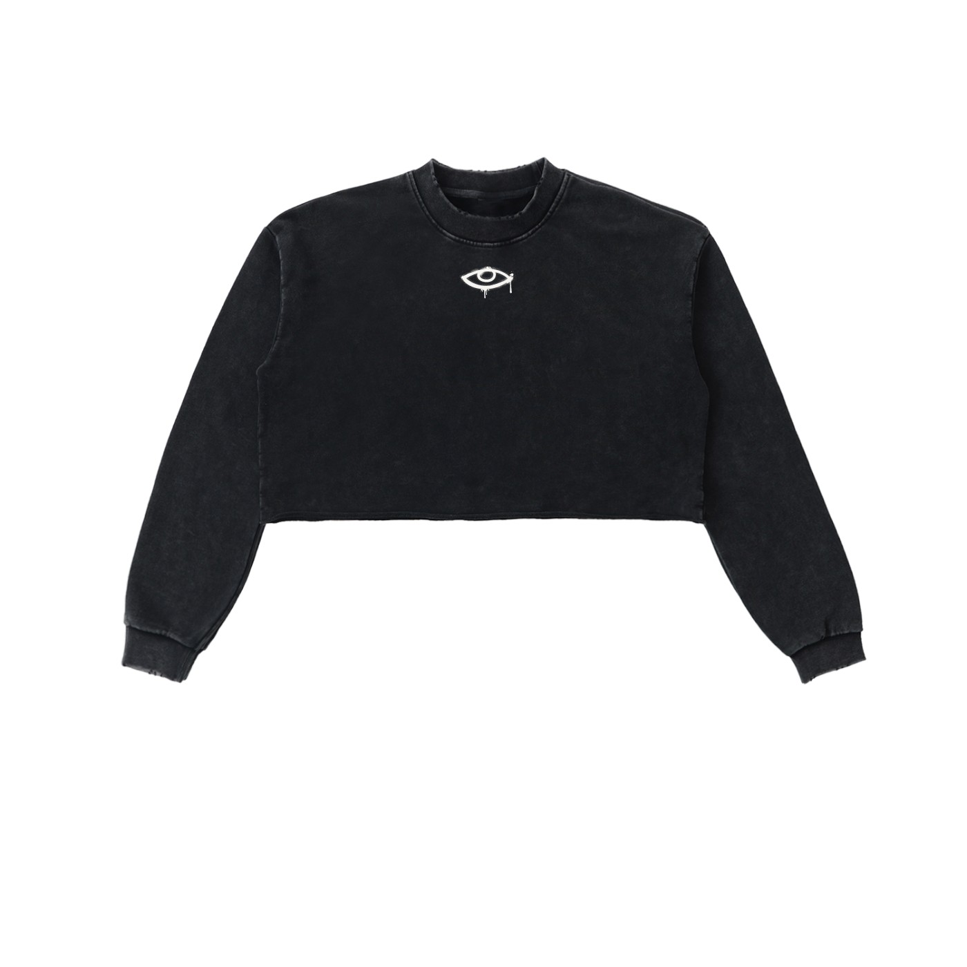 Eye of Providence Cropped Sweatshirt