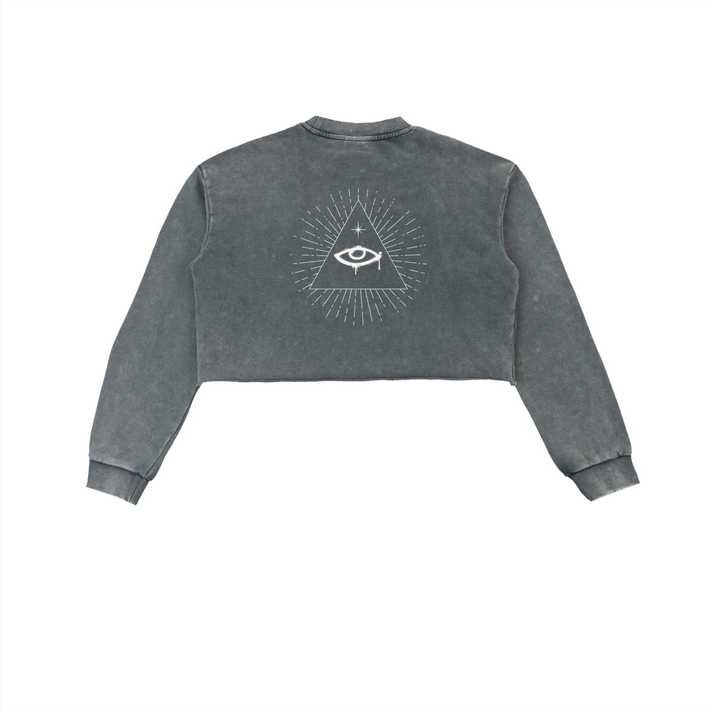 Eye of Providence Cropped Sweatshirt